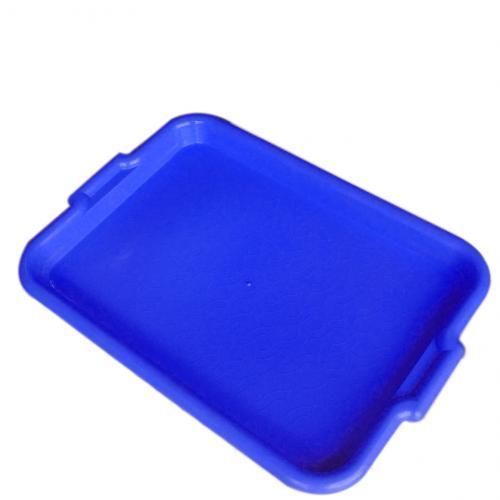 Plastic Serving Tray