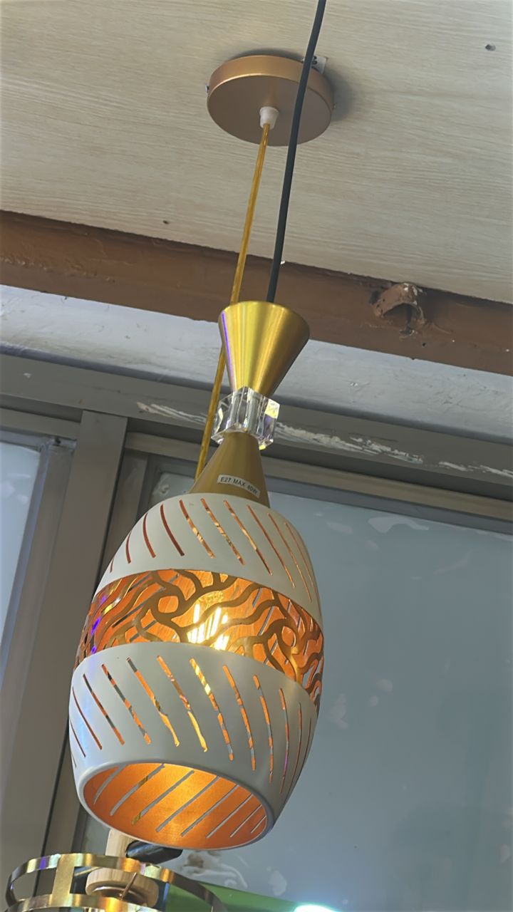 Oval pendant light